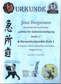 Lehrer f&uuml;r SV und Nervendruckpunkte Stufe 1 - 2016